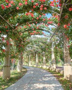 the walkway is lined with pink flowers and greenery