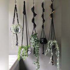 several hanging plants on the wall next to a window