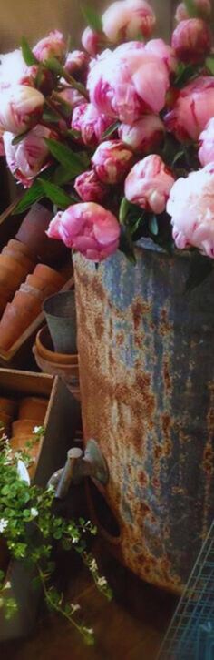 pink flowers are sitting in an old bucket