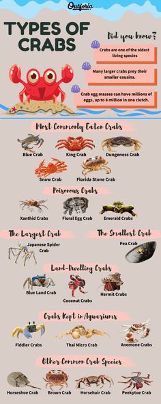 the types of crabs and their names