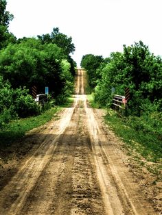 a dirt road surrounded by green trees and bushes on either side is a gate that leads into the distance