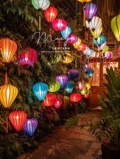 many colorful lanterns are hanging from the ceiling