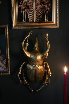 a golden beetle sitting on top of a wall next to a candle and framed artwork