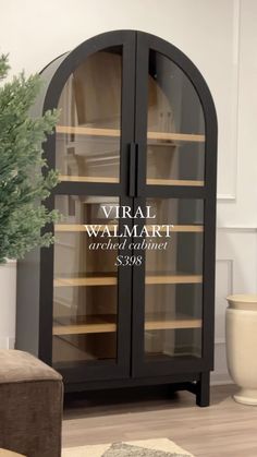 a large black cabinet with glass doors in a living room