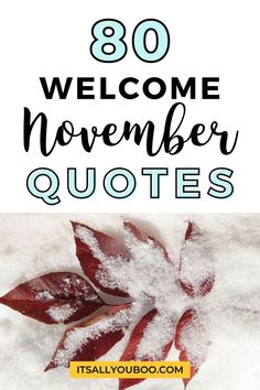 80 welcome November quotes with a leaf in the snow Winter Aesthetic Quotes, Hello November Quotes, November Poem, Leaf Quotes, Welcome Quotes, Welcome November, November Quotes, Short Instagram Captions, Happy November