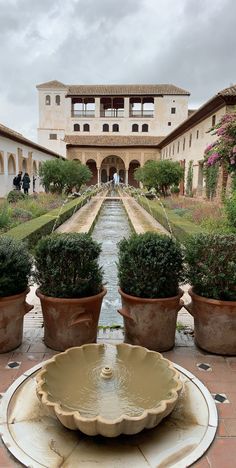 a fountain surrounded by potted plants in front of a building