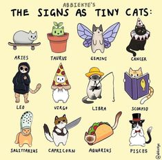 the signs as tiny cats in different languages