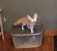 a toy animal sitting on top of a plastic container