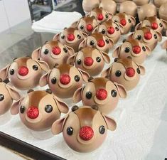 there are many reindeer heads on display in the store window and one has red nose