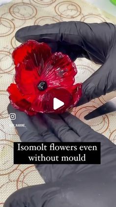 someone in black gloves holding a red flower with the words, ismolt flowers even without mould