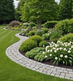 a garden with white flowers and green grass