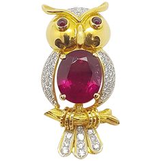 Rubellite with Cabochon Ruby and Diamond Owl Brooch Set in 18k Gold Settings Cabochon Ruby, Owl Brooch, Bird Pins, Animal Rings, Owl Jewelry, Diamond Brooch, Bird Jewelry, Jewelry Design Necklace, Vintage Brooches