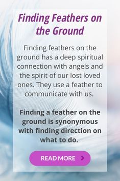 a purple and white photo with the words finding feathers on the ground, including an image of