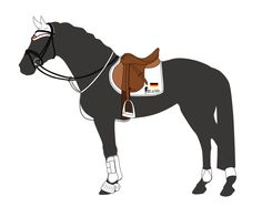 a black horse with a saddle on it's back, standing in front of a white background