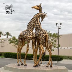 two giraffes standing next to each other on top of a cement slab