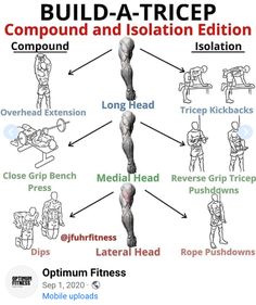 the diagram shows how to build a tricep