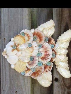 seashells are arranged on a wooden surface