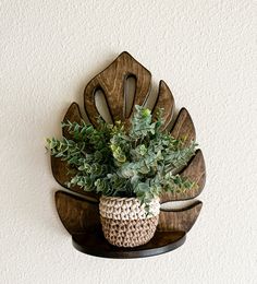 a potted plant sitting on top of a wooden shelf next to a white wall