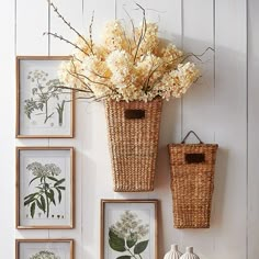 some pictures hanging on the wall with vases and flowers in them next to each other