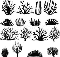 black and white silhouettes of sea plants