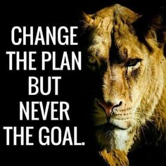 a lion with the words change the plan but never the goal