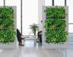 two people sitting in chairs next to a green wall with plants on it and one person using a laptop