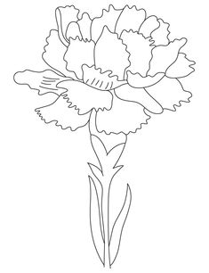 the outline of a flower is shown in black and white