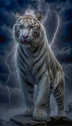 a white tiger standing on top of a rock in front of a lightning filled sky