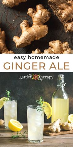 an image of ginger ale with lemons and herbs