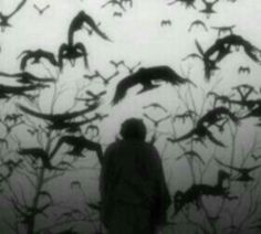 a man standing in front of a flock of birds flying above him and looking at the ground