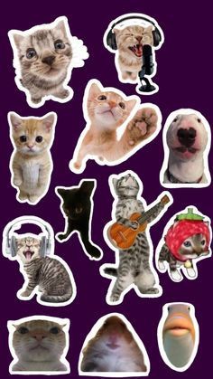 various stickers with cats and dogs in them on a purple background, including an orange cat