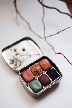 four different colored candies in a tin on a white surface next to a dried twig