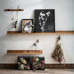 some flowers are sitting on shelves in a room with pictures and vases next to them