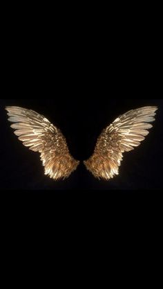 two gold angel wings are shown against a black background with the words, i am not sure what this image is