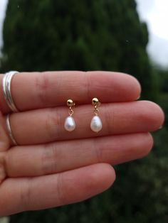 DETAILS: - These dainty dot earrings are made from beautiful ivory freshwater pearls and either gold filled or sterling silver stud earrings (3mm stud)  - Every pearl is unique, making these make a very special gift or treat for yourself.  - Pearls measure approximately 6x4mm.  Please note that due to the organic nature of the pearls and handmaking process, your earrings will differ slightly to those photographed above. If you wish to see your beads before I make your earrings just let me know w Bridal Pearl Earrings, Stud Drop Earrings, Dot Earrings, Organic Nature, Bridal Earrings Pearl, White Freshwater Pearl, Earrings Minimalist, Bridal Pearls, Sterling Silver Studs