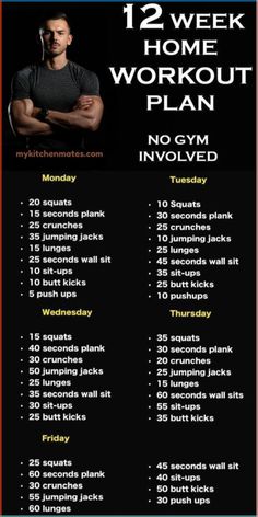 the 12 week home workout plan