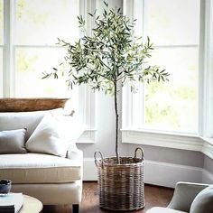 a living room filled with furniture and a tree in the middle of the room on top of a coffee table