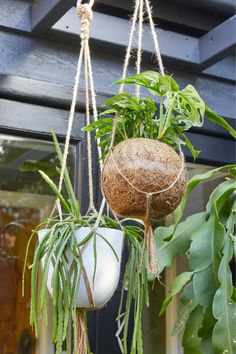 two hanging planters with plants in them