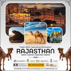 Jaipur | Jodhpur | Jaisalmer | Udaipur India's Most Captivating Destination • 𝐂𝐨𝐧𝐭𝐚𝐜𝐭 𝐔𝐬: - 🌐 https://www.kkholidays.com/ 📩 info@kkholidays.com ☎️ +91 9829020060, 9314514440 Delhi City, Udaipur India, Gangtok, Mumbai City, Honeymoon Tour