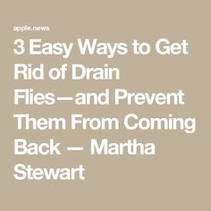 three easy ways to get rid of drain files and prevent them from coming back - martha stewart