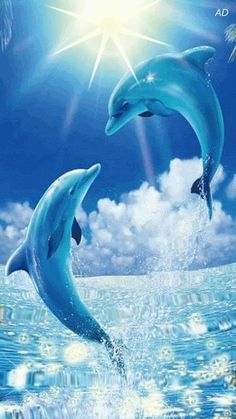 two dolphins jumping out of the water under a blue sky with clouds and palm trees