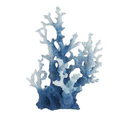 a blue and white coral on a white background