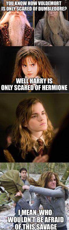 harry potter and hermione are the same person in harry potter's house