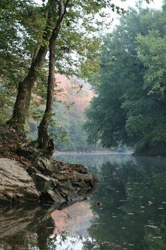 a body of water surrounded by trees and rocks