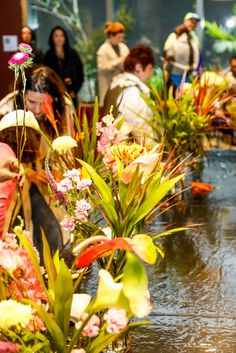 people are standing around looking at flowers in the water