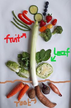 vegetables are arranged in the shape of a face on a white plate with words written below it