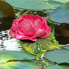 a pink flower sitting on top of waterlilies in a pond with lily pads