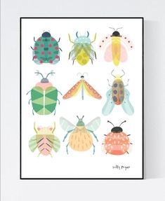 a poster with different types of bugs on the front and back of it's frame