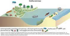 an image of the water cycle and how it is different from other parts of the earth