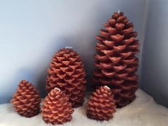 three red pine cones sitting next to each other